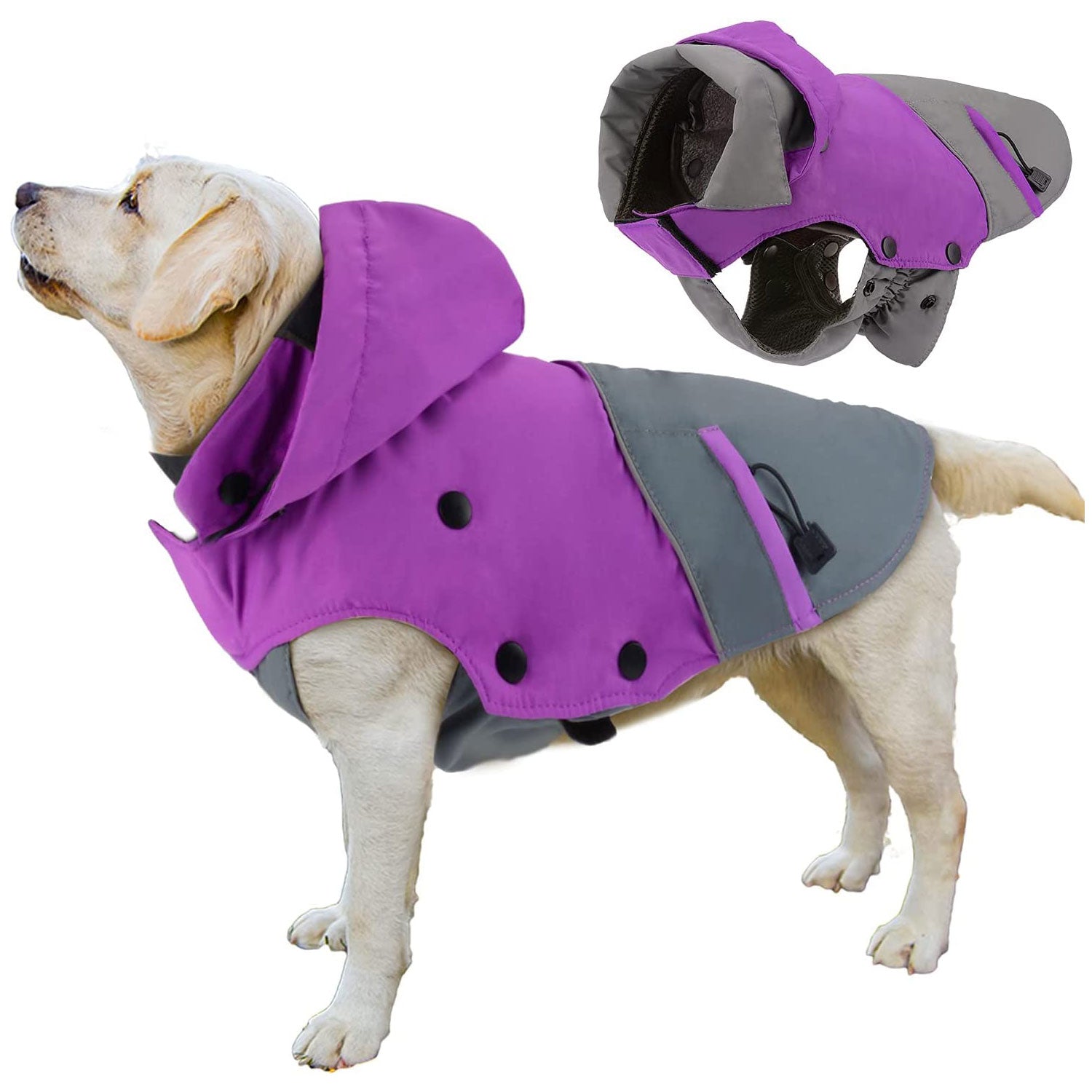 Pet Life Lightweight Adjustable 'Sporty Avalanche' Pet Coat - Blue, Medium,  Dog/Cat, Water Resistant, Machine Washable in the Pet Clothing department  at
