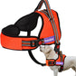 PETLOFT Dog Harness, Adjustable Soft Leash Padded No Pull Dog Harness for Small Medium Large Dogs