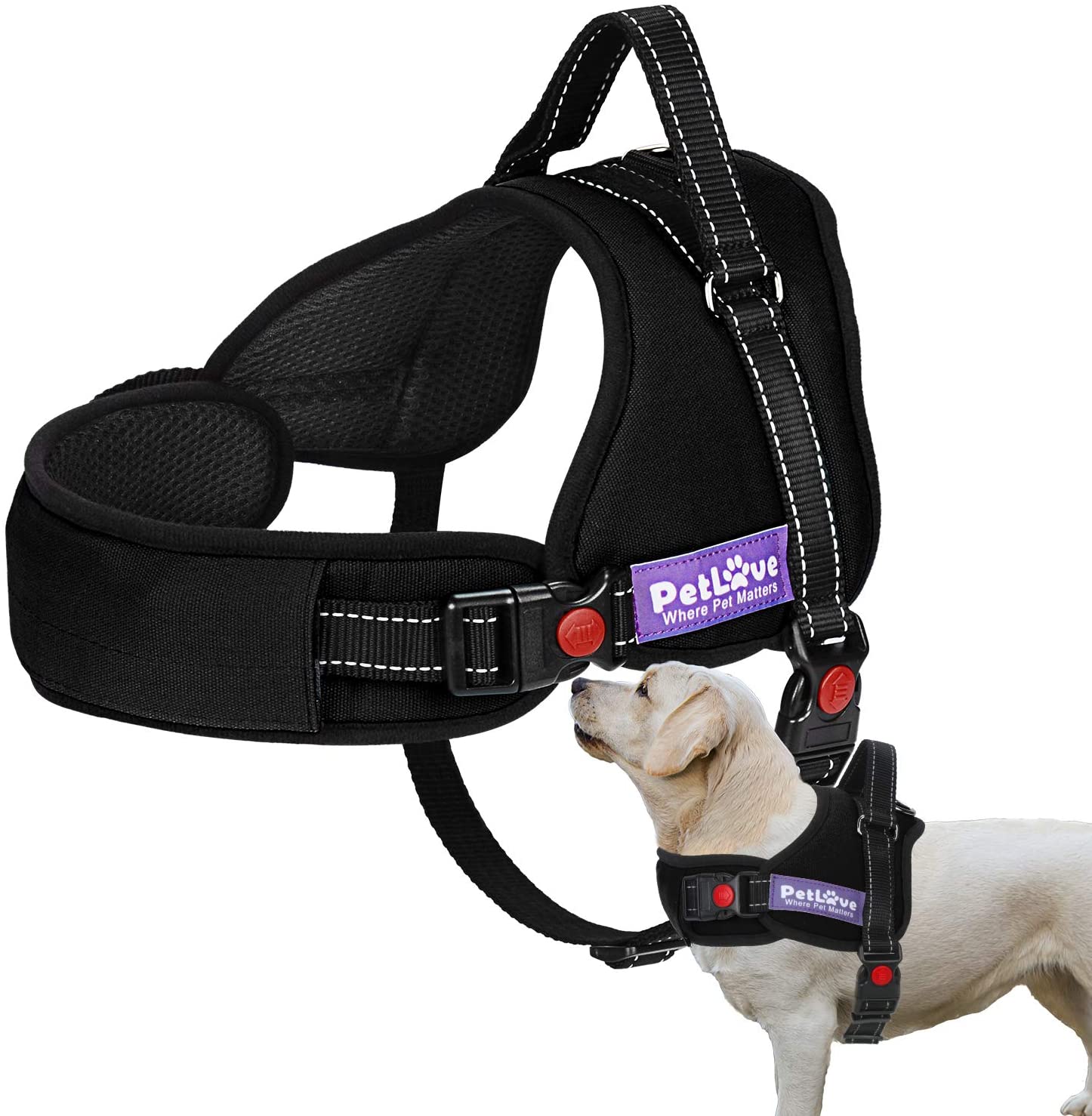 Dog-Harness